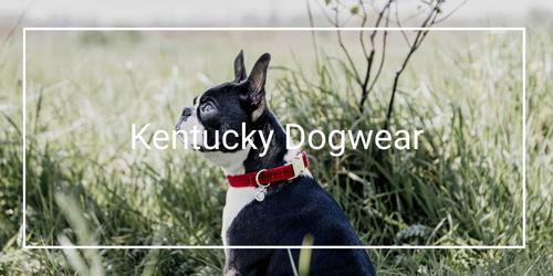 Kentucky chiens West Cheval